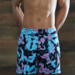 0001-c-in2_ss13_2556_candy_coated_f_swim_mens_freestyle_6inch