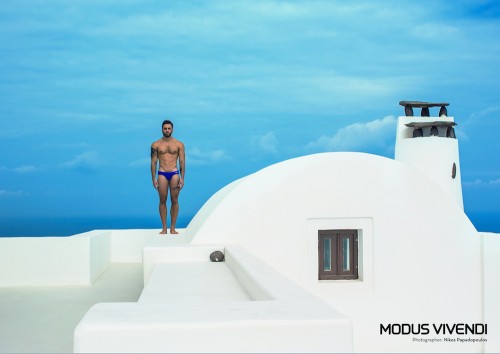 Modus Vivendi swimwear - classic line brief 02