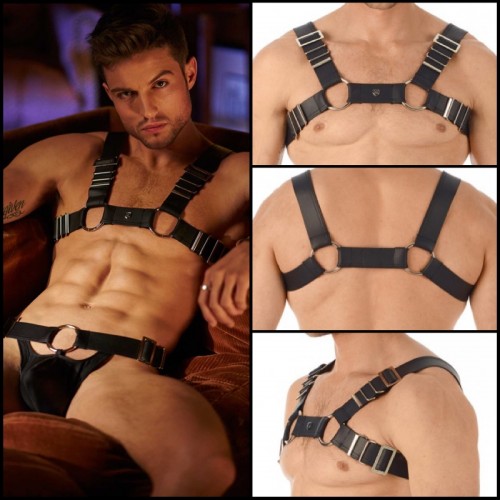 Gregg homme hooked harness