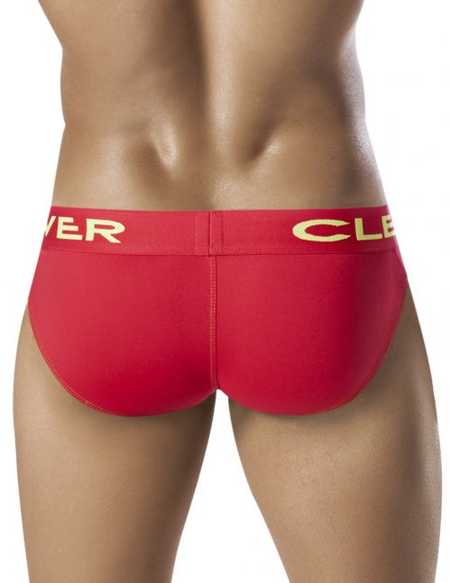 Clever Fluorescence Brief 1
