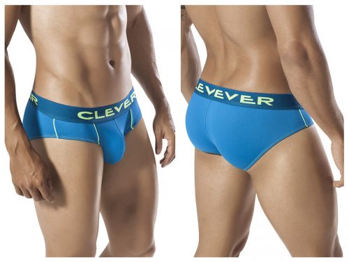 Clever Fluorescence Brief 2