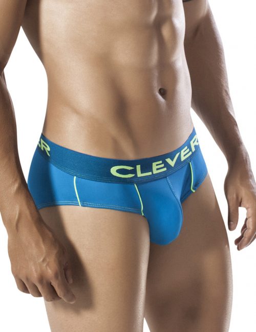 Clever Fluorescence Brief 3