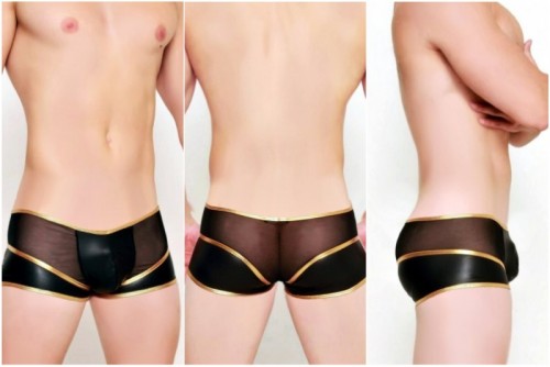 cosmos black and gold panel boxer